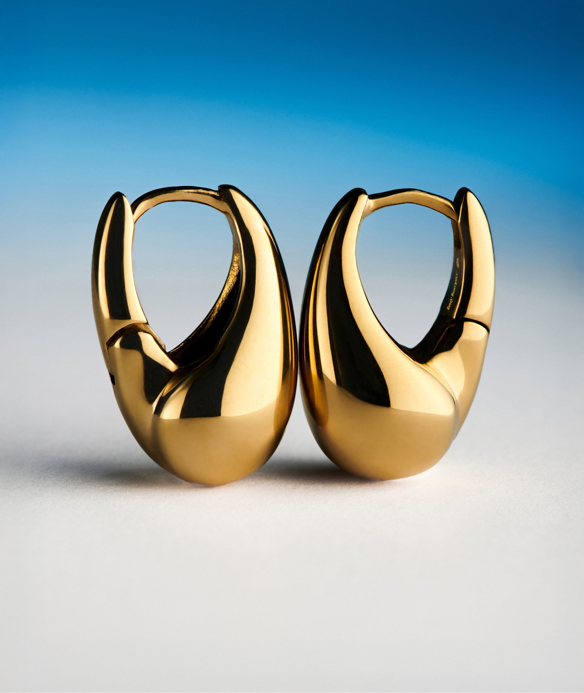 Sculpted Earrings