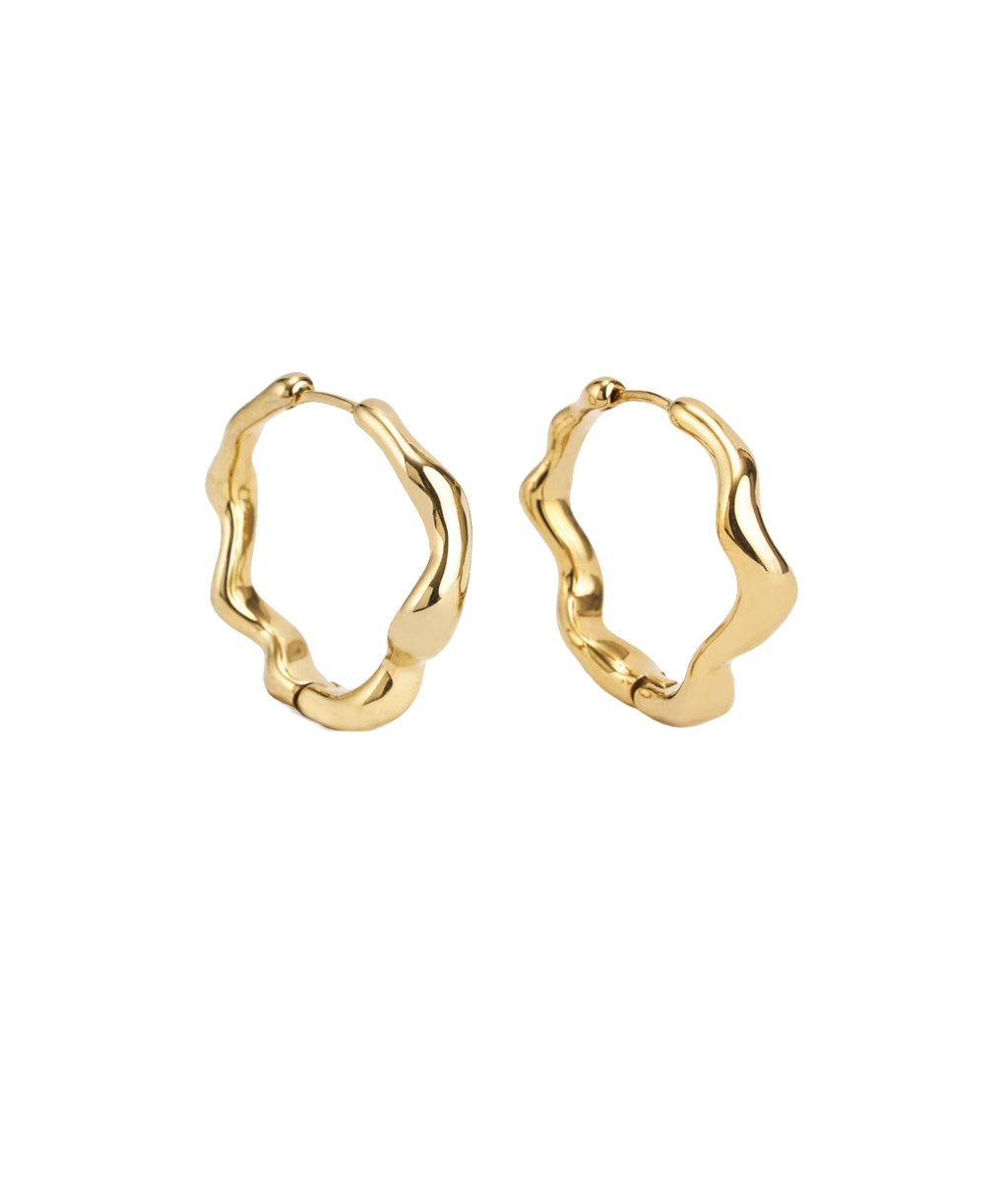Dazzling Earrings