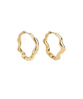 Dazzling Earrings