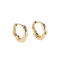 Dazzling Small Earrings