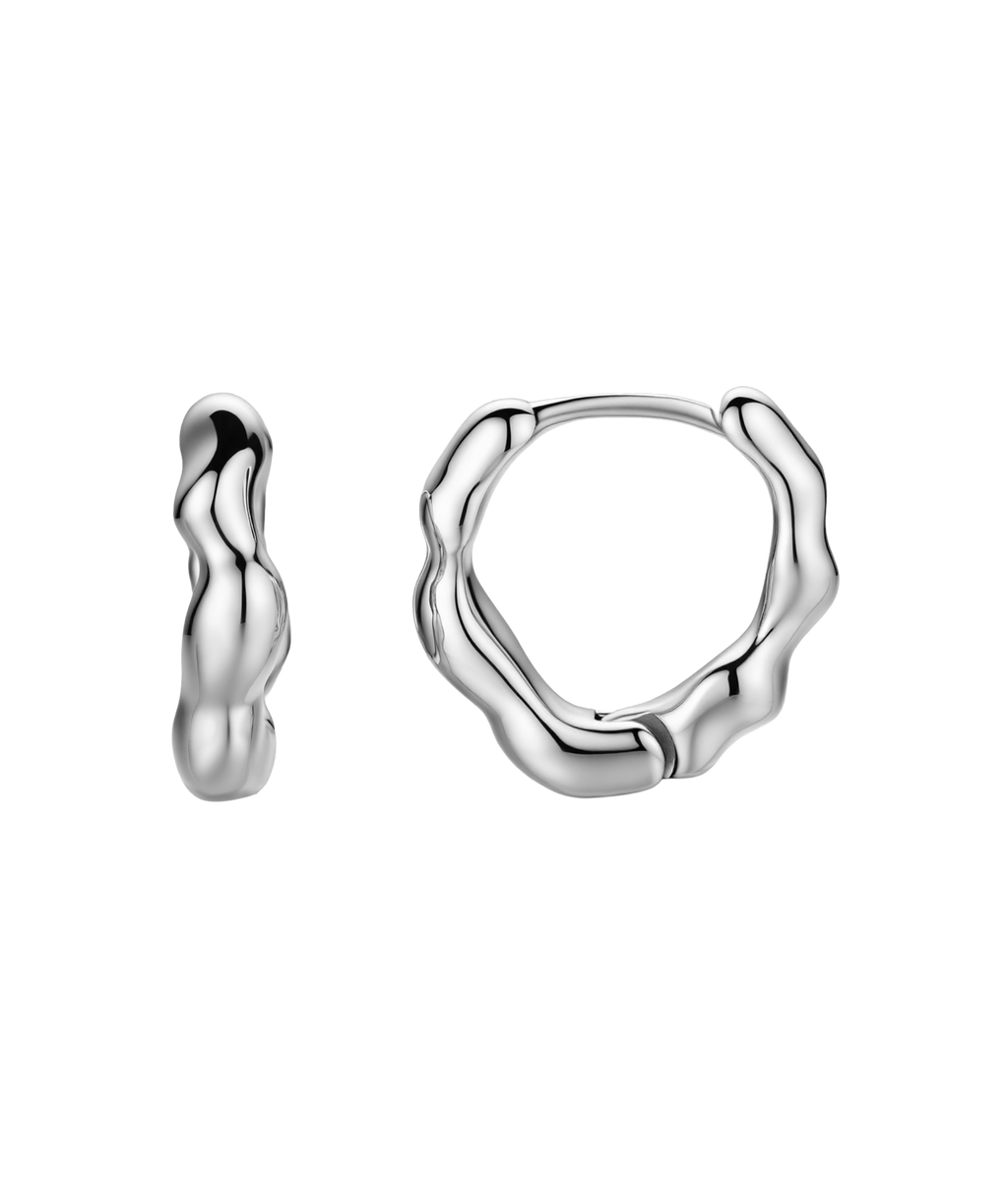 Dazzling Small Silver Earrings