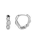 Dazzling Small Silver Earrings