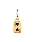 Double or Nothing Charm