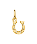 Lucky Horseshoe Charm