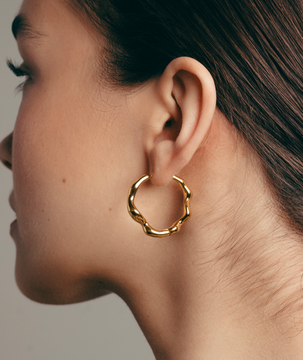 Dazzling Earrings