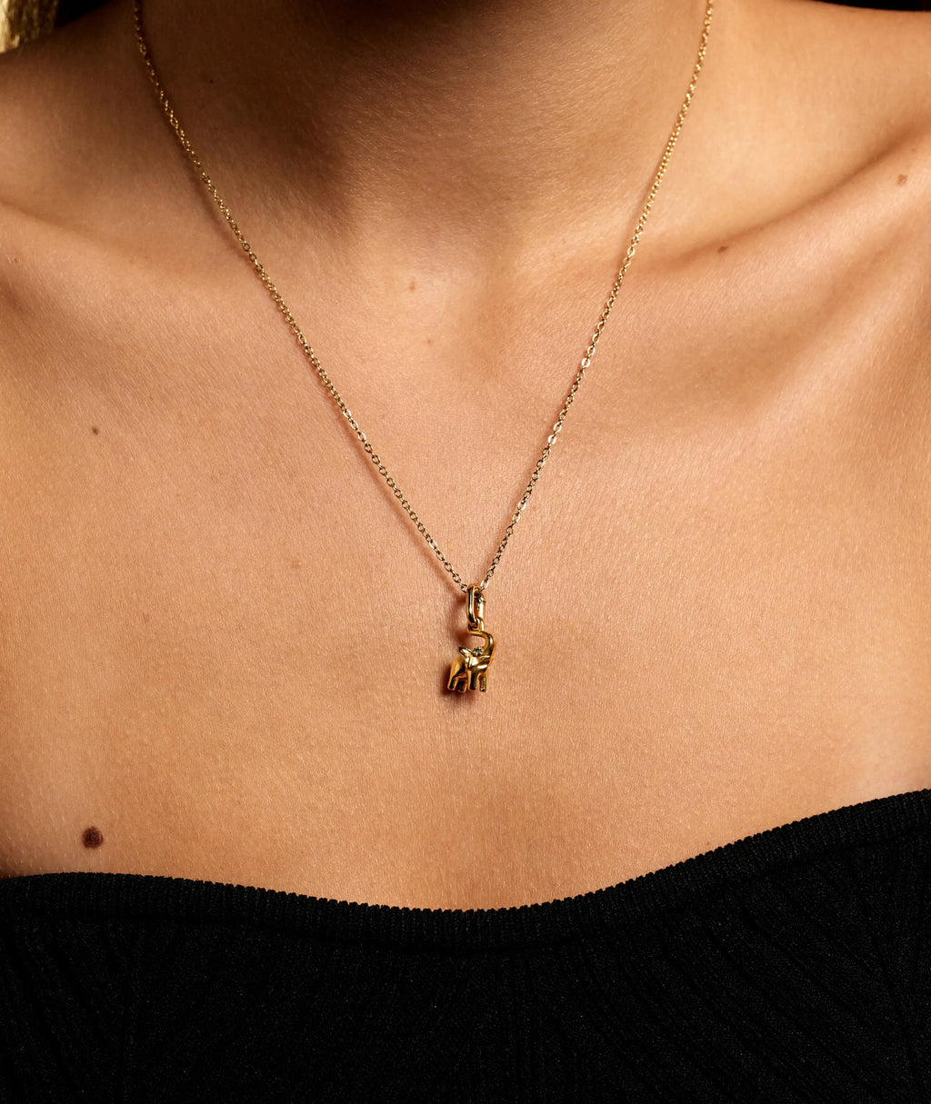 Elephant Charm + Miss Long Necklace