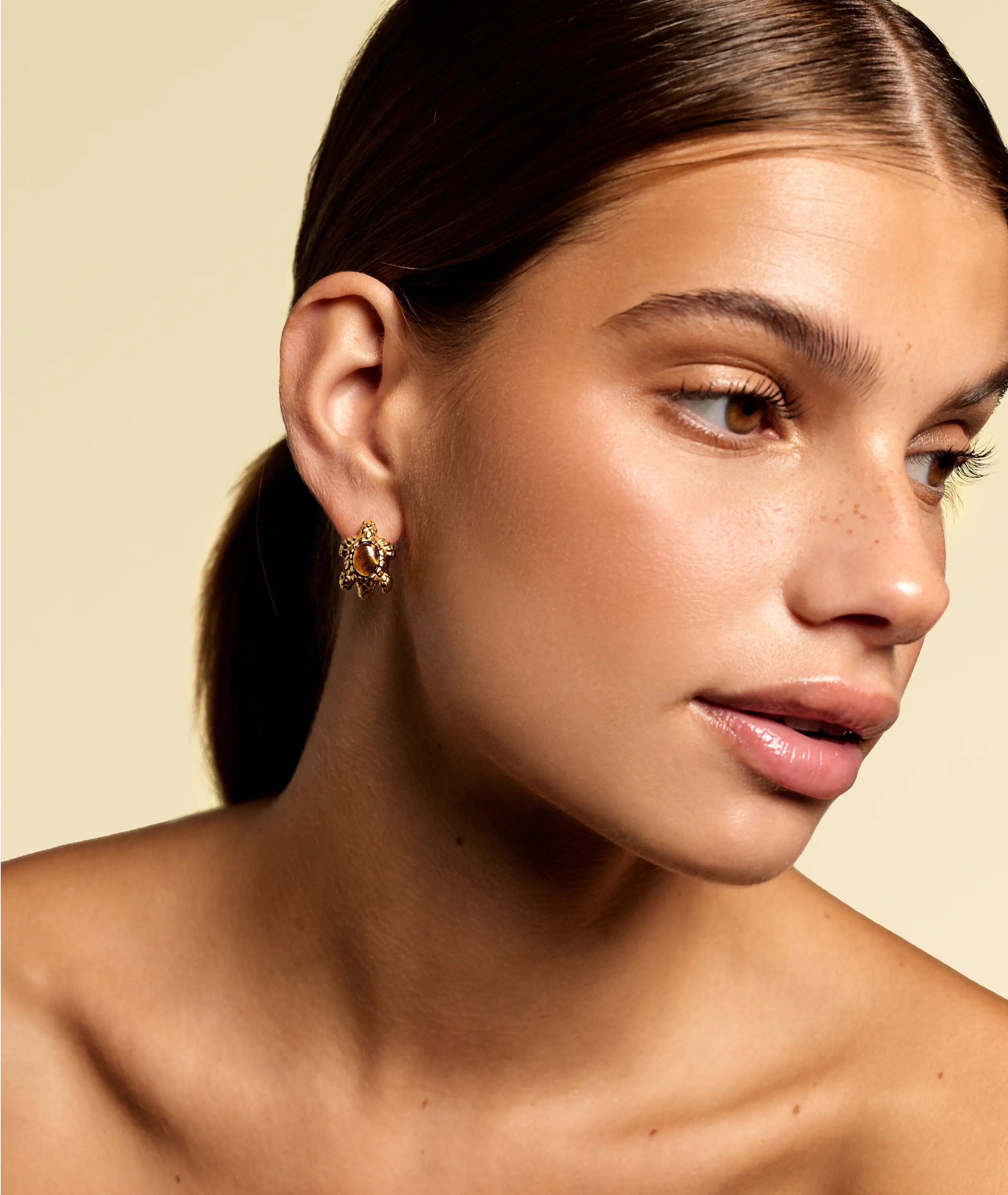Turtle Earrings