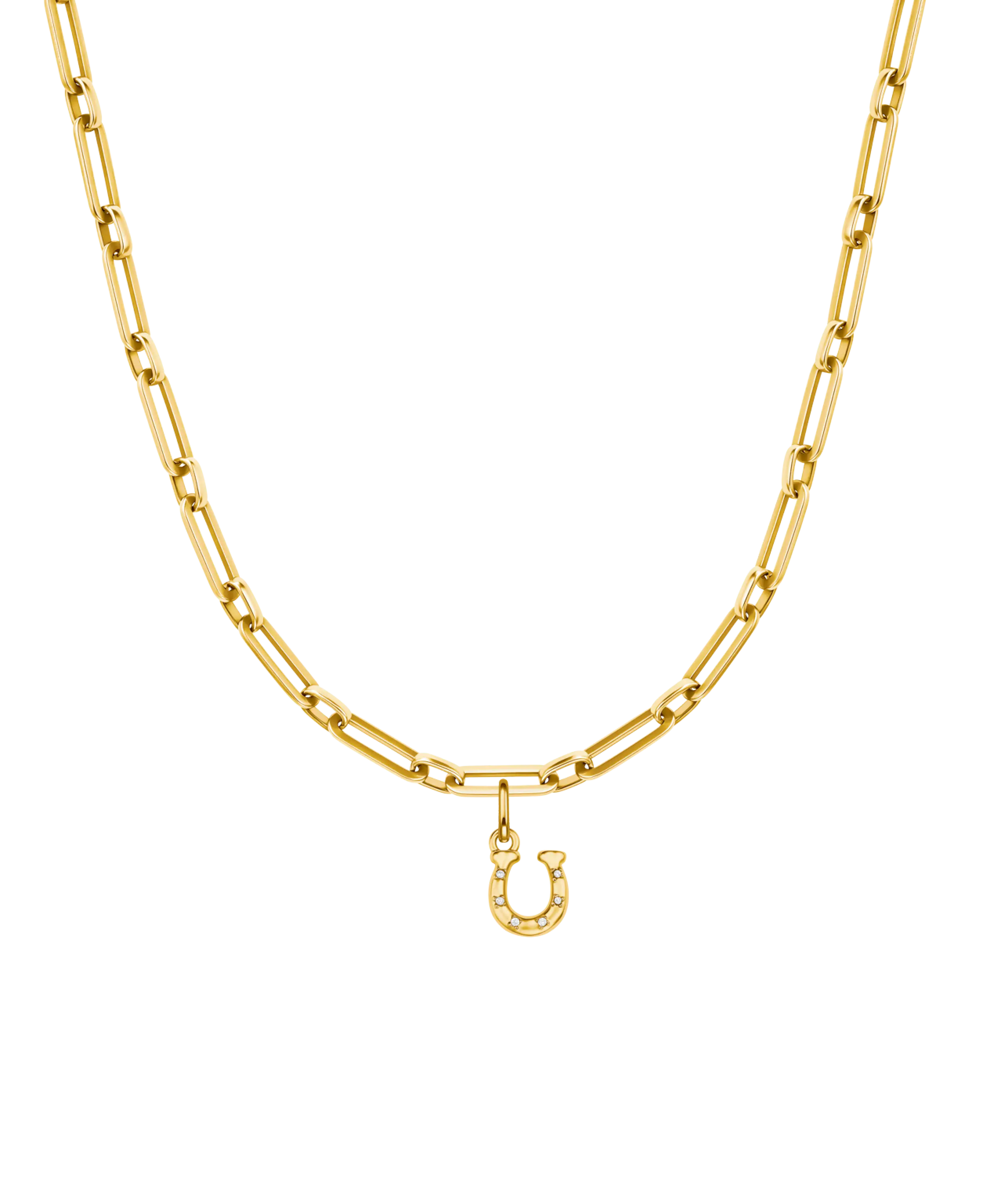 Lucky Horseshoe Charm
