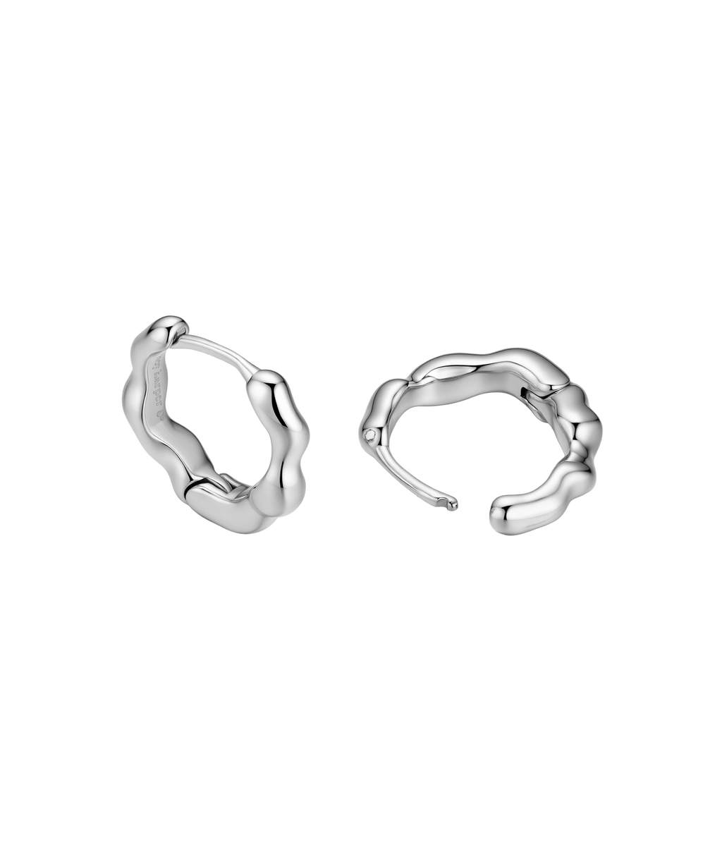 Dazzling Small Silver Earrings