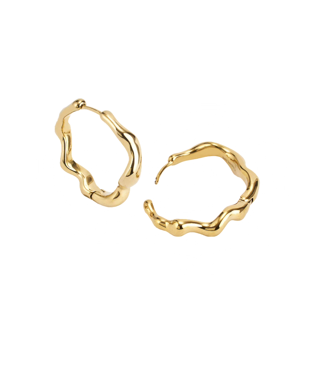 Dazzling Earrings
