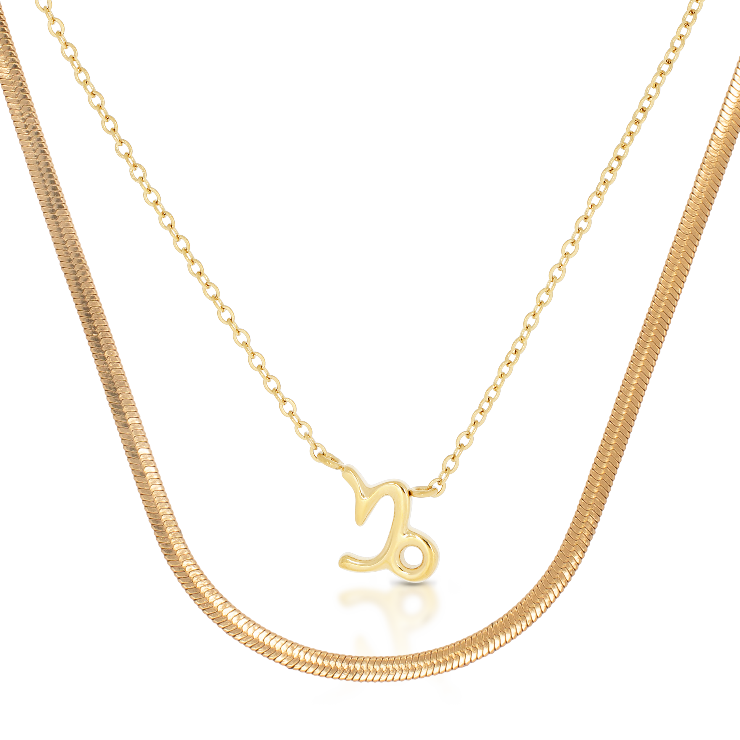 Capricorn