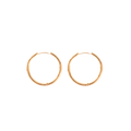 Large Hoop Earrings (4168950055025)