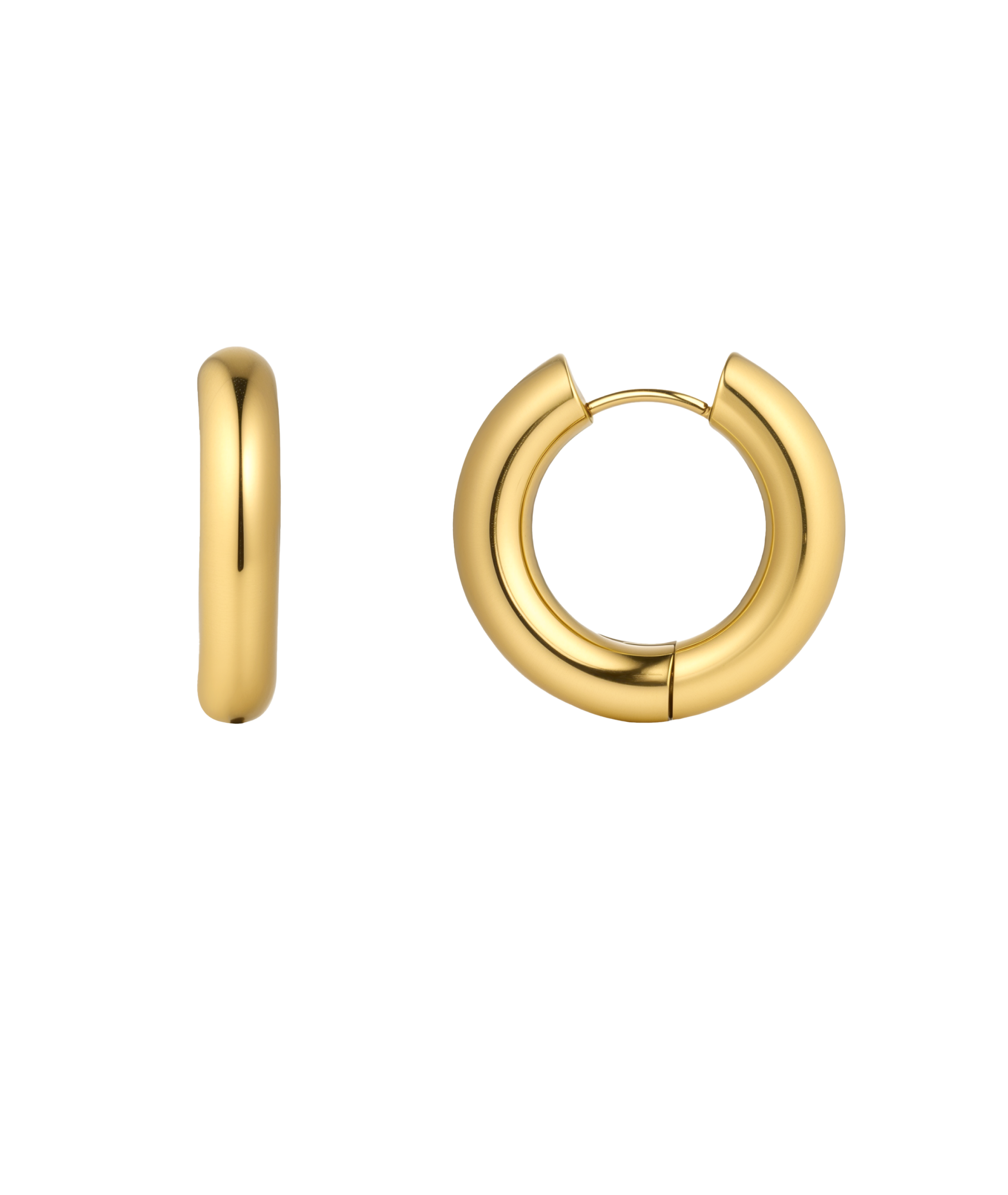 Chunky Nicole Earrings