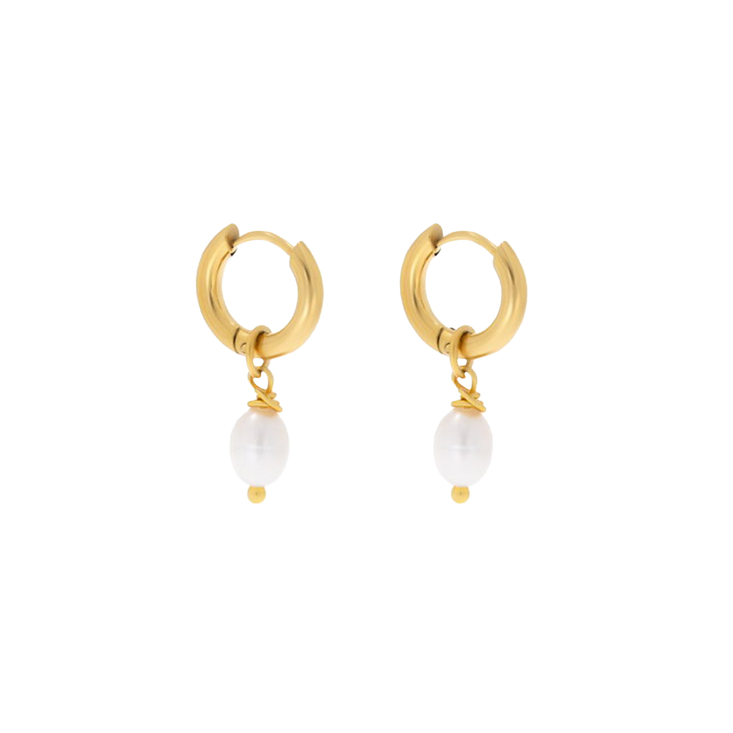 Camila Earrings (6701251952753)