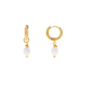 Camila Earrings (6701251952753)
