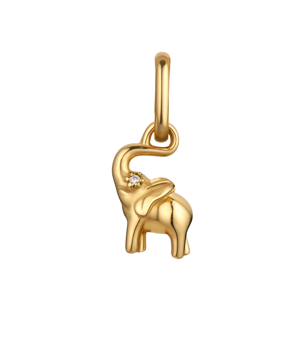Elephant Charm