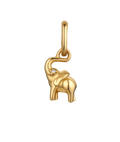 Elephant Charm