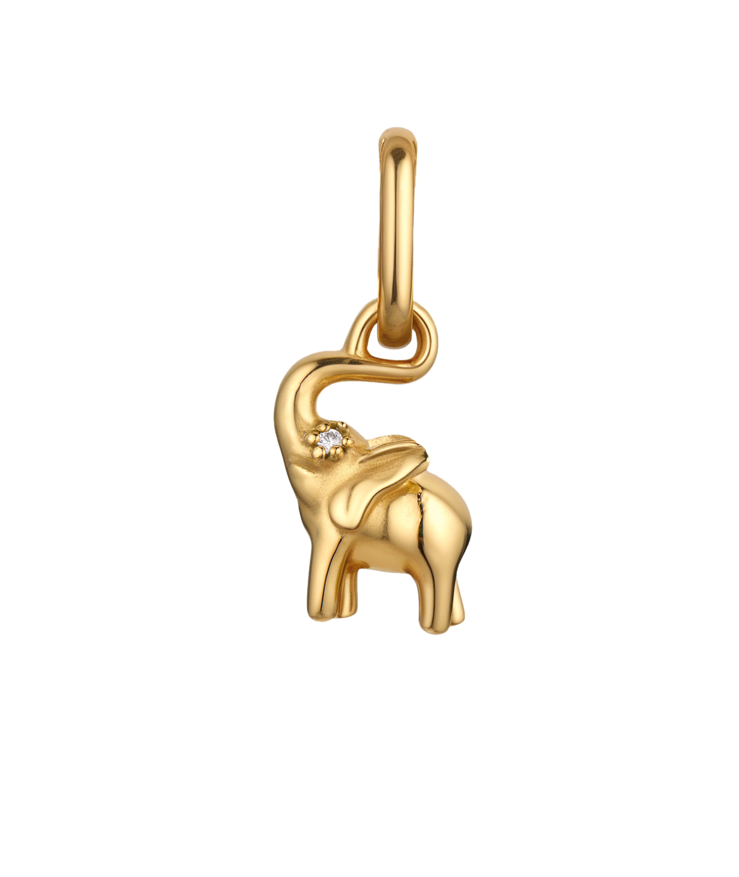 Elephant Charm