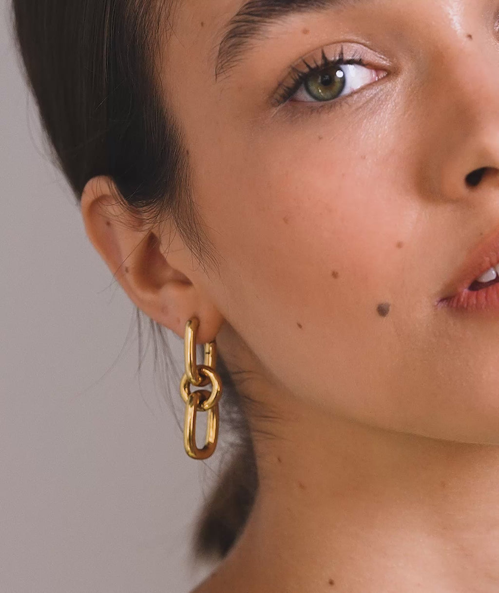 Double Link Earrings